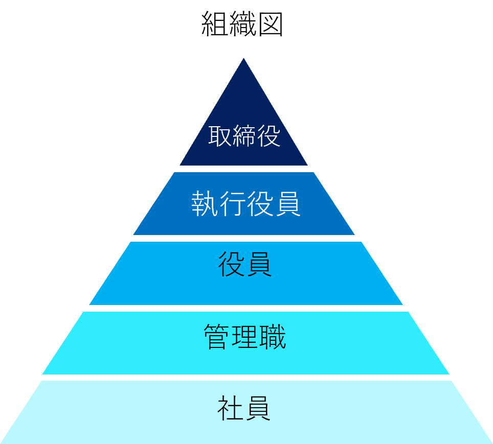 ①ピラミッド型